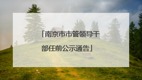 南京市市管领导干部任前公示通告